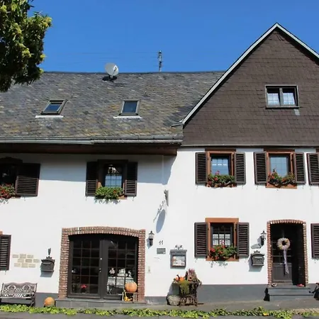Ferienwohnung Flämisches Weinhaus Wintrich Exterior foto
