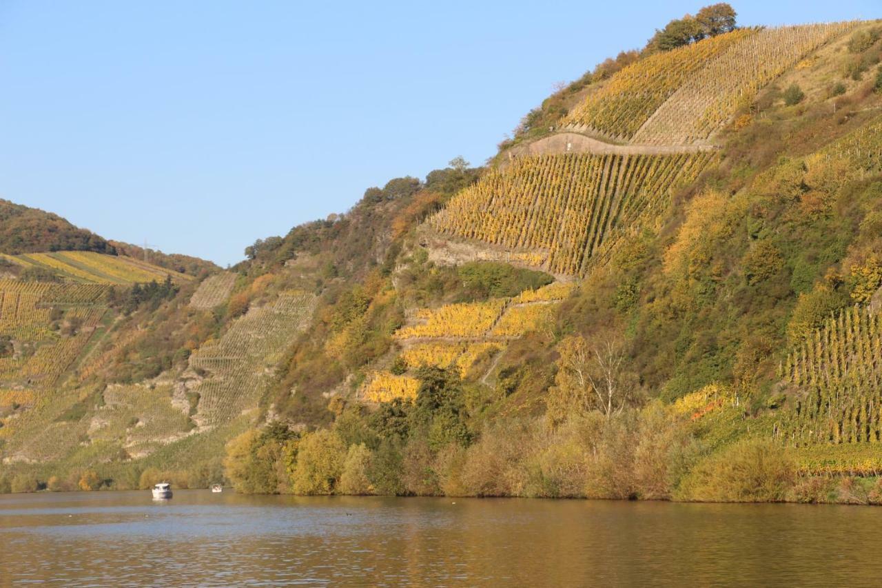 Flämisches Weinhaus
